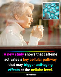 ☕️ The secret to staying youthful? A cuppa coffee, according to this study!  While research has associated coffee consumption with longer life and lower  risk of chronic disease, exactly how those benefits