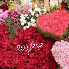 صور صباح الخير واجمل عبارات صباحية للأحبه والأصدقاء موقع مصري beautiful morning messages good morning beautiful images good morning images