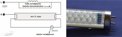studio kwaak led verlichting