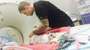 Check spelling or type a new query. Exotic Animal Department Central Hospital For Veterinary Medicine
