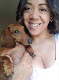 Does your doxie like to lay