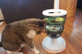 In the mainstream cat market, cat food is presented in two types. How Long Can You Leave Dry Cat Food Out How Should You Store It