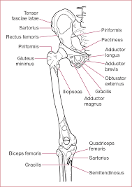 If discomfort under your right ribs is from your digestive system or internal organ, then in some cases, changes to your diet can help to ease painful symptoms. Musculoskeletal Medicine Springer Publishing