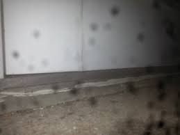 Image result for site:byggahus.se montera tröskelbleck