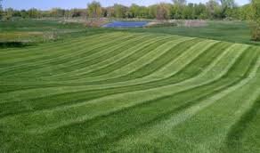 Allow superior lawn care to beautify your view! Spikes Lawn Care Blaine Mn Call 763 780 5299 For Expert Lawn Care Yard Mowing Yard Maintenance And Landscaping In Anoka County Minnesota Lawn Mowing Yard Service Landscaping Spring Fall Clean Ups