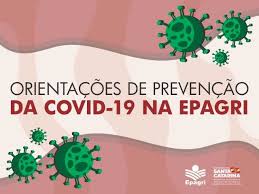 Respondemos oito dúvidas comuns sobre como evitar a infecção. Epagri Publica Cartilha Para Orientar Funcionarios Na Volta Parcial De Suas Atividades Epagri