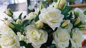 La phalaenopsis fiorisce a lungo, un fiore può durare fino a 3 mesi. Fiori E Piante Artificiali Garden Roagna Vivai Cuneo