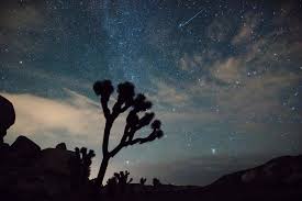On average, 160 to 200 meteors light up the sky. Best Time To See Perseid Meteor Shower In California 2021 Rove Me
