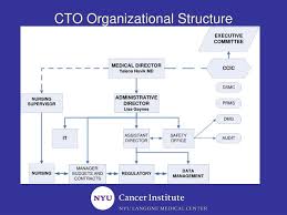 Ppt Cto Organizational Structure Powerpoint Presentation