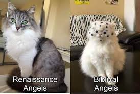 Pin By Riggs M Fandoms On Animal Memes In 2020 Funny Memes Funny Relatable Memes Amusing