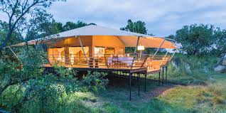 Serengeti Bushtops Northern Serengeti Tanzania Canopy Outdoor Backyard Canopy Patio Canopy