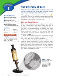 Contains a liquid called cell sap, which keeps the cell firm. 1 The Diversity Of Cells