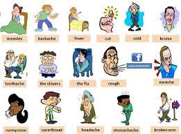 Natural science 4 primary education. Pin On English For Kids