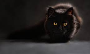 In the 20th century, this happened in 1928, 1956, and 1984. The Infamous Friday The 13th Virus A History Lesson Blackpoint Blog