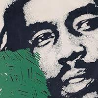 They Come in All Colors by Malcolm Hansen