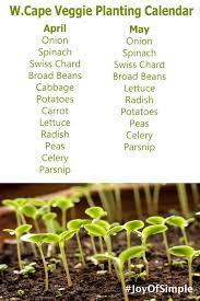 Vegetables To Plant In Western Cape Garden Plants Vegetable Plants Food Garden