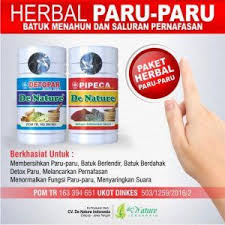 Pin Di Obat Paru Paru