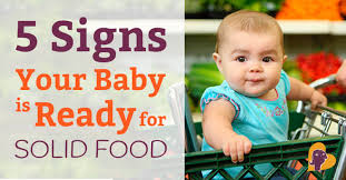 starting solids 5 signs your baby is ready for solid food