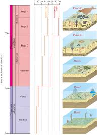 Depan  middle initial : The Rise And Early Evolution Of Animals Where Do We Stand From A Trace Fossil Perspective Interface Focus