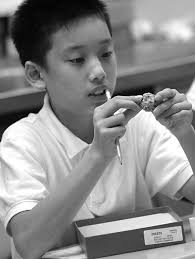 Springfield Educator Spring 2013