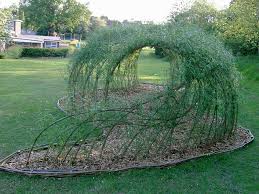 Spencer Jenkins Living Willow Structures Willow Garden Garden Structures Decorative Garden Fencing