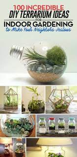 Is it love, luxury, peace, oder? 100 Incredible Diy Terrarium Ideas For Indoor Gardening To Make Your Neighbors Jealous Terrarium Diy Plants Terrarium