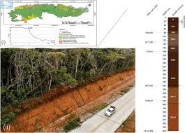 Image result for Mimosa 1988 Tracer