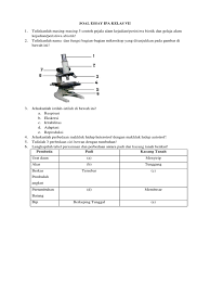 Latihan soal pilihan ganda bab adaptasi makhluk hidup. Soal Essay Ciri Ciri Makhluk Hidup
