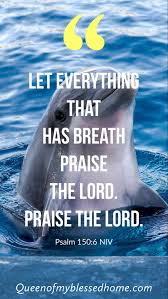 Let Everything That Has Breath Praise The Lord Bible Verse Pin On Faith Uplifting Encouraging Bible Scriptures