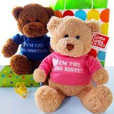 Big Siblings Teddy Bear Teddy Bear Gifts New Baby Products Baby Gifts