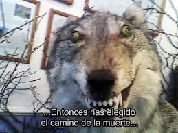 Memes corregidos - "Entonces has elegido el camino de la muerte". Imagen  optimizada. | Facebook