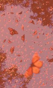 Desktop wallpaper butterflies, monarch butterfly, arthropod, pollinator, butterfly hd, beautiful background image for windows computer, laptop, iphone & android mobile. Pin By Nadia Vira On Aesthetics Butterfly Wallpaper Iphone Aesthetic Iphone Wallpaper Blue Butterfly Wallpaper