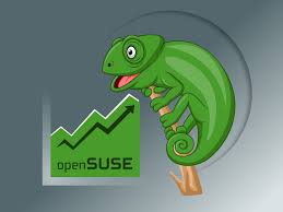 Image result for openuser chapuni