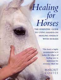Jaycee's horses for healing clients are children with physical, cognitive, developmental, sensory interested in volunteering at jaycee's horses for healing? Healing For Horses Coates Margrit 9780712601382 Amazon Com Books
