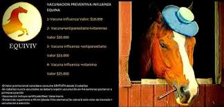 Jun 03, 2021 · los propietarios de caballos explicaron que tienen dificultades para pagar el forraje de sus animales, que suelen utilizarse para paseos turísticos en la playa de cox's bazar Veterinarios Equinos On Twitter Recuerda Vacunar Siempre A Tus Caballos Visitanos En Facebook Para Mas Informcion Veterinaria Salud Caballos