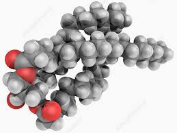 Image result for Triglyceride
