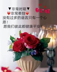 The sun just touched the morning; Good Morning Messages For Friends In Chinese Hutomo