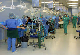 The attention from the students and the doctors was impressive. Veterinary Students Gain Surgical Experience By Participating In World Spay Day 2012