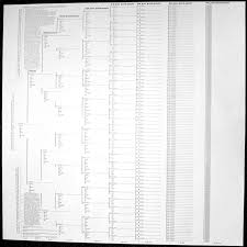 Family Tree Chart Large Parchment Stevenson Genealogy