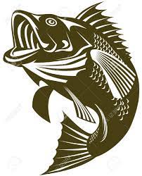 Largemouth Bass Cliparts Stock Vector And Royalty Free Largemouth Fish Outline Fish Art Fishing Svg