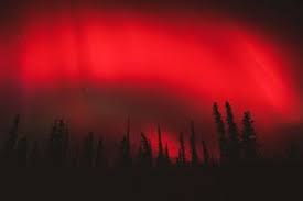 Jun 09, 2019 · then they collide with gas molecules, mostly oxygen and nitrogen, in the atmosphere. How Does The Aurora Borealis The Northern Lights Work Howstuffworks
