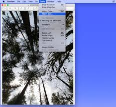 Resize images in word by using the right click command. How To Quickly Resize Images On A Mac Using Preview