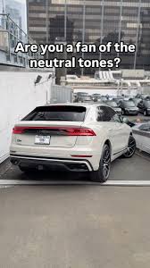 Image result for Vicuna Beige 2021 SQ8