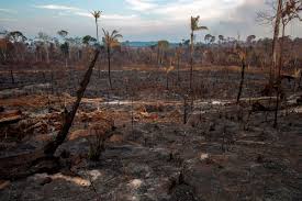 The amazonian region makes up the largest portion of ecuador's land. Amazon Rainforest Fire The Worst Case Scenario Is Uncomfortably Near Vox