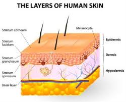 This is a common question people ask when researching laser hair removal technology that can grow the profitability of their business. 2020 Best Professional Laser Hair Removal Equipment Cosmetic Lasers