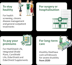 Gov Sg Mgp Benefits
