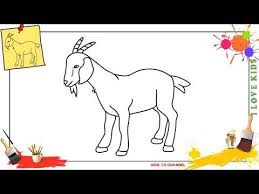 How To Draw A Goat 3 Easy Step By Step For Kids Beginners Children Youtube Goat Paintings Easy Canvas Art Cute Drawings