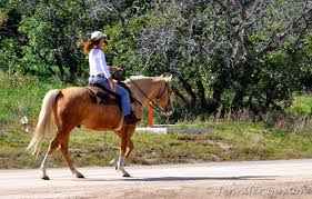 Part of balancing the demands of life at the u.s. Braymere Custom Saddlery Us Air Force Academy Equestrian Center