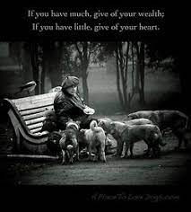 Pin By Melanie Wearing On Speakforme Compassion Life No Response