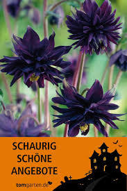 Mystic Garden Blumen Fur Garten Garten Pflanzen Mystischer Garten